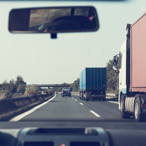 Half gemaaide bermen voor balans verkeersveiligheid en natuur