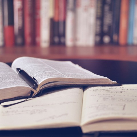 Almeerse studentenverenigingen krijgen financiële hulp van gemeente