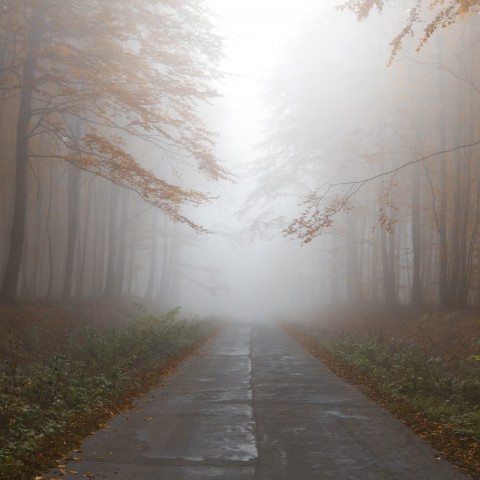 Code geel vanwege plaatselijk dichte mist