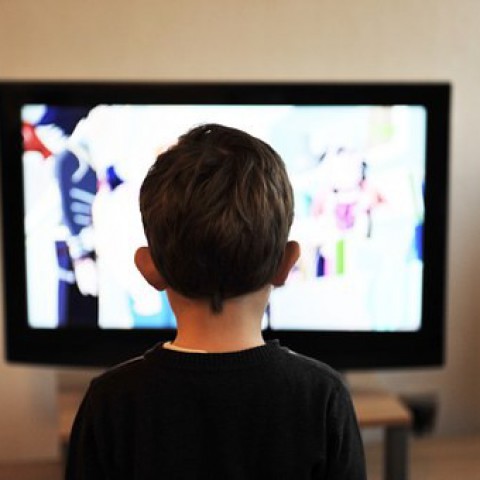 Unieke filmcollectie Rijksdienst voor de IJsselmeerpolders online bij Het Flevolands Archief