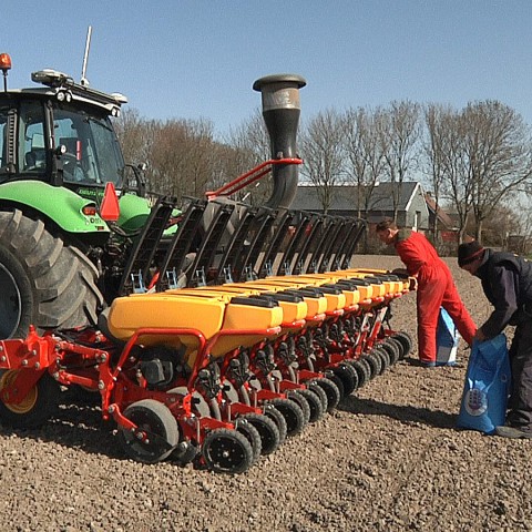 Flevolandse boeren zaaien FlevoVeldboon 