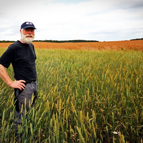 Boeren voor Buren mogelijk naar Flevoland
