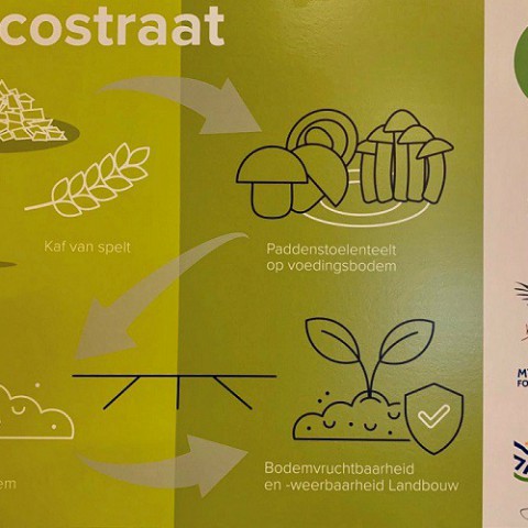 Flevoland gaat circulair!  