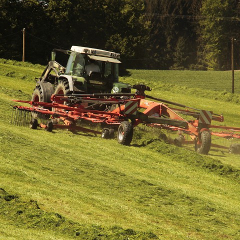 Landbouw doet noodkreet met 'Help ons oogsten'  