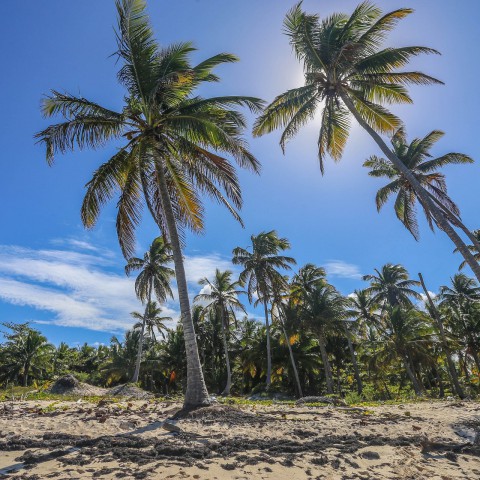 Poortenaren in Caribische sferen