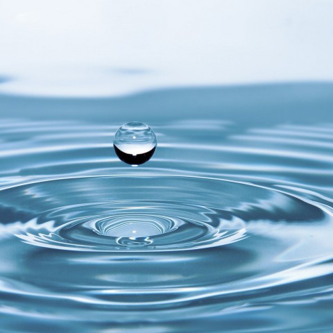 Almeerse inwoners meten waterkwaliteit