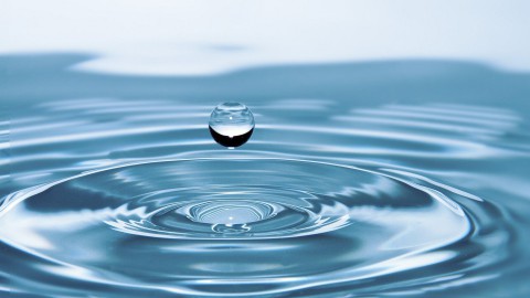 Almeerse inwoners meten waterkwaliteit
