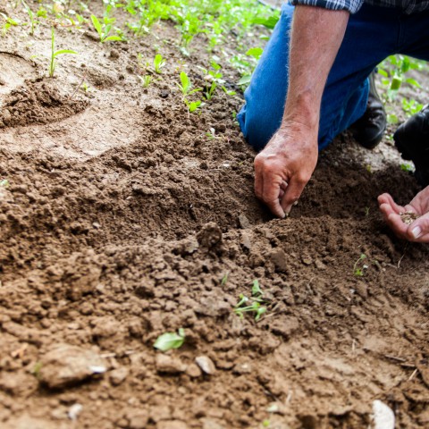 Natuurwerkdag 2020 vindt plaats in eigen tuin
