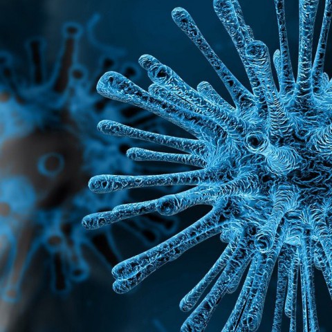 Coronavirus eist eerste leven in Flevoland