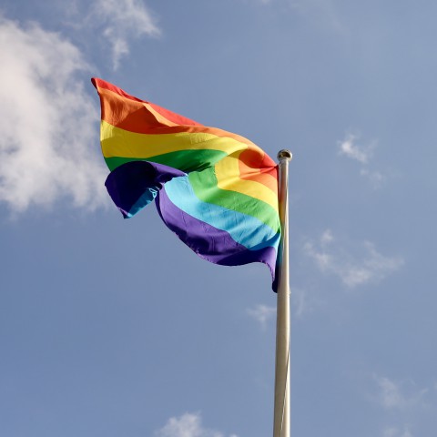 Regenboogvlag wappert in Flevoland