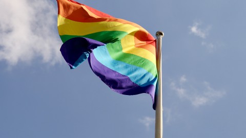 Regenboogvlag wappert in Flevoland