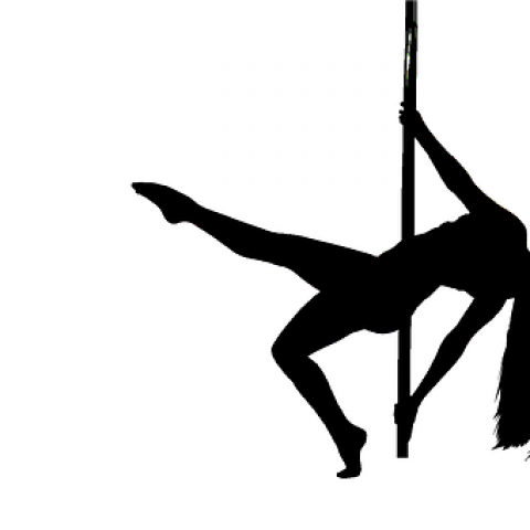 Workshop Pole Power