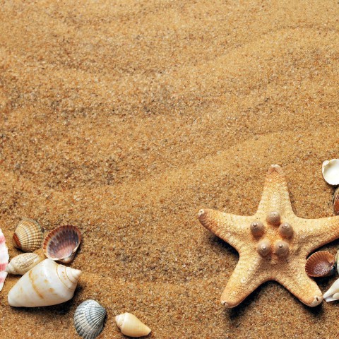 Extra zand nodig voor stranden Marker Wadden