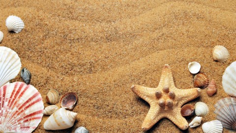 Extra zand nodig voor stranden Marker Wadden