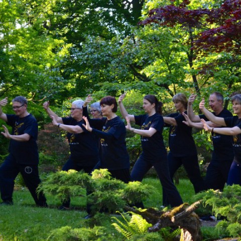 Kin San Tai Chi: Open Dagen en proeflessen in maart!