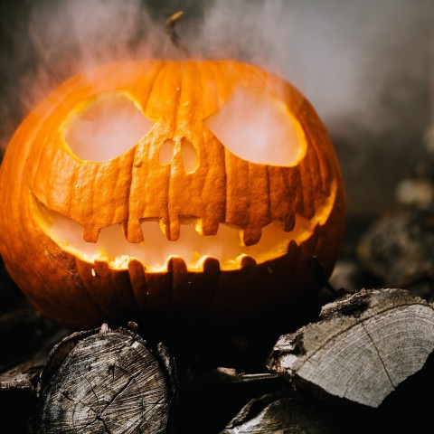 Spookhuizen in Haven mogen open ondanks corona