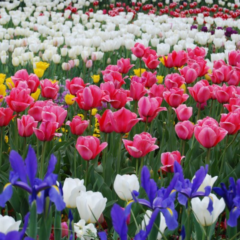 Almeerse studenten enthousiast over leren bij Floriade