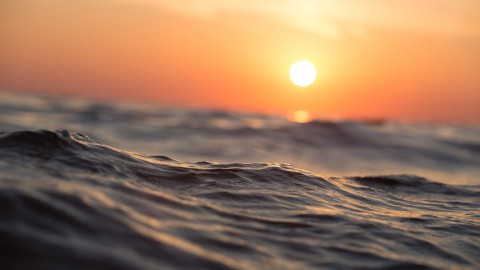 Specialiteiten van het Wad op het Lumièrestrand