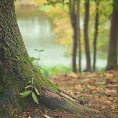Waarschuwing voor drukte in natuurgebieden