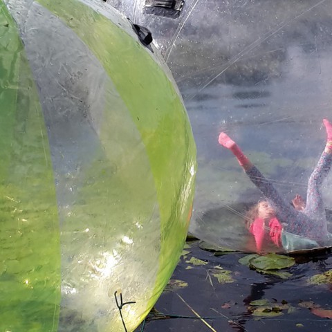 Rolling Nature Kemphaan met rollende activiteiten van Almeerse bodem