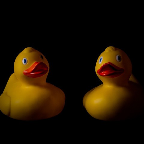 Racen voor goede doelen