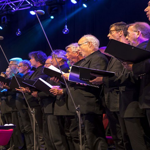 Nederlands Kamerorkest speelt klassiekers van Wolfgang Amadeus 