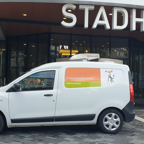 Crisis voor opvangcentra voor wilde dieren: hoe kan de EU helpen?